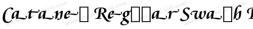 Cataneo Regular Swash BT字体转换